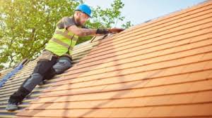 Professional Roofing Services in Loch Lomond, VA