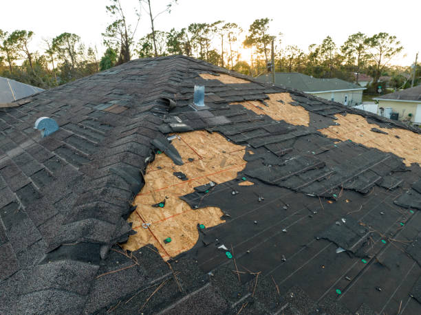 Best 4 Ply Roofing  in Loch Lomond, VA